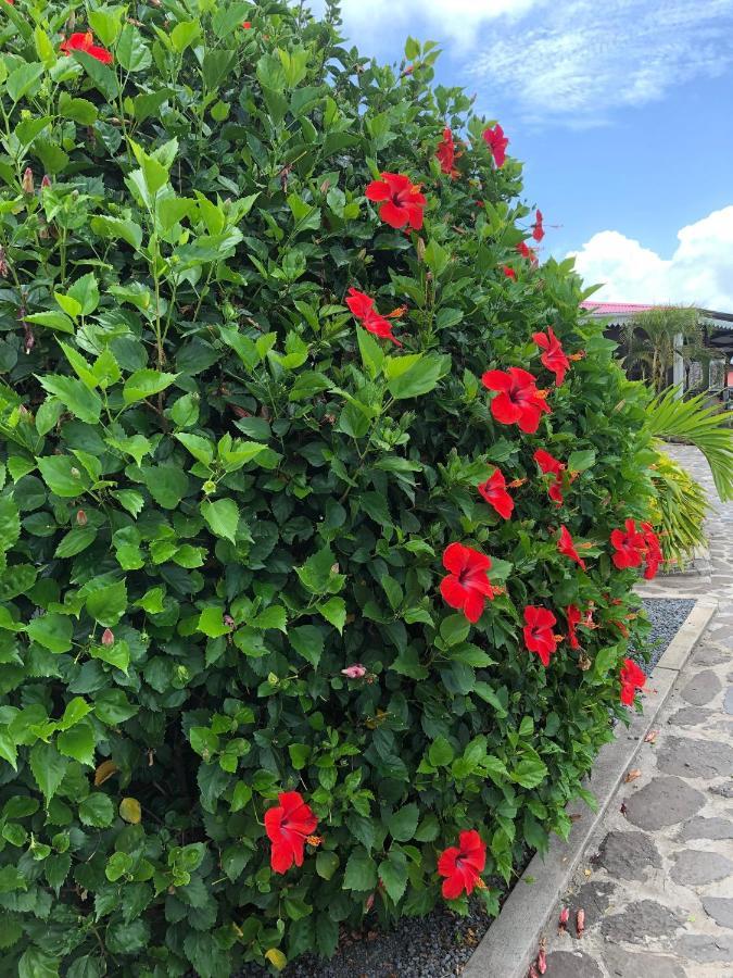 Lovely Apartment In Flic En Flac, Close To The Beach And All Amenities. Exterior foto